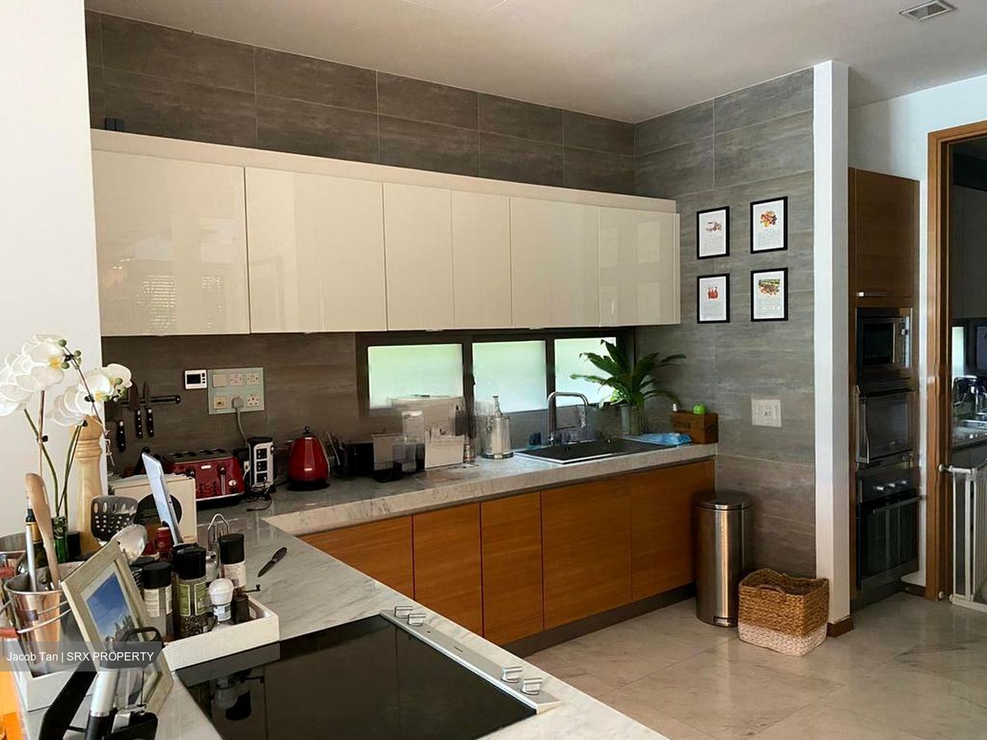 Paradise Island (D4), Detached #477802581